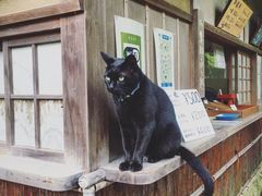 -常寂光寺