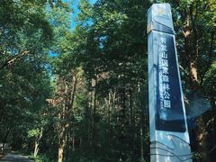 -青龙山国家森林公园