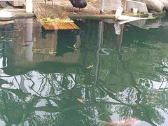-湖鲜楼