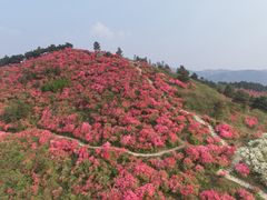 -木兰云雾山