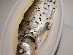 招牌清蒸钱塘江白条-柳莺湖上·湖景餐厅·江南菜(西湖店)