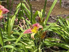 -廊坊文化艺术中心