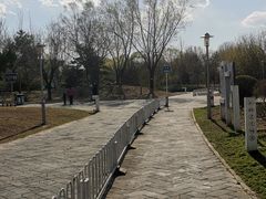 -望湖公园