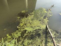 -洨河生态公园