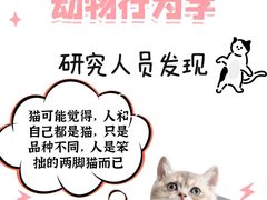 -翊宠yipet猫狗购宠庄园犬舍•猫舍