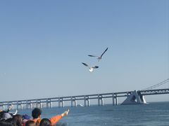 -星海广场