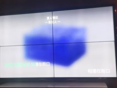 -野妹经典火锅(民治店)