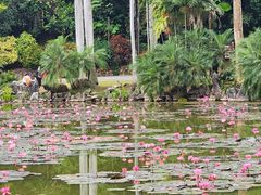 -中国科学院西双版纳热带植物园