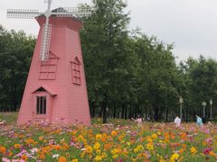 -顺峰山公园