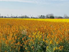 -中国天府农业博览园