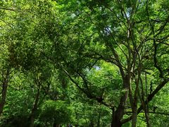 -WeLope紫金山探险公园