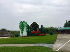 -上海都市菜园
