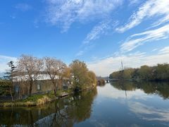 -溱湖国家湿地公园