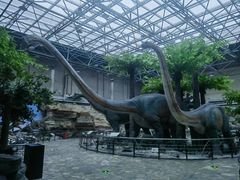 -国家自然博物馆