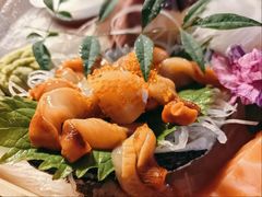 空运活赤贝-天狗山料理(省体店)