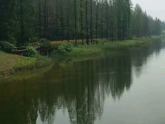 -黄海国家森林公园