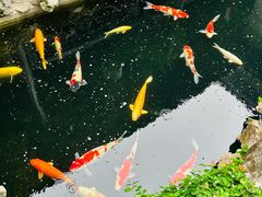 -金海华·华宴江南(斜塘店)