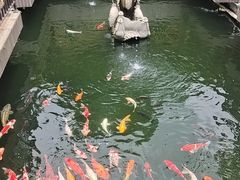 -小榄公饭店·岭南庭院餐厅(民安北路店)