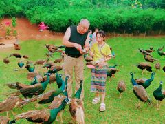 -西双版纳勐泐文化旅游区