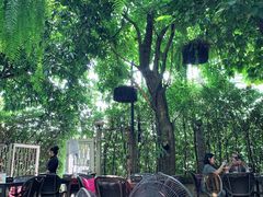 -Fern Forest Cafe