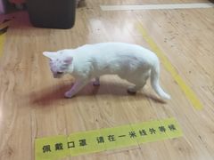 -剧狐剧本杀·月球探案馆(人民广场1号店)