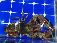 -恒达综合农贸市场(黄山路店)