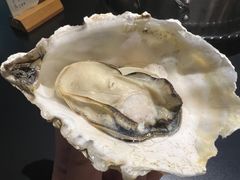 -蚝美人·生蚝海鲜烧烤(茶花园店)