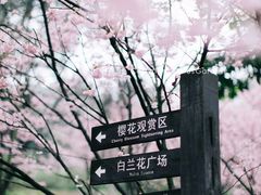 -南山植物园