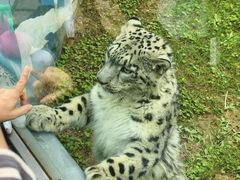 -青藏高原野生动物园