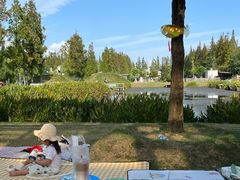 -前小桔亲子创意农场·草莓采摘·露营烧烤