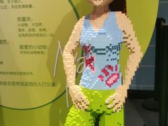 -上海乐高探索中心