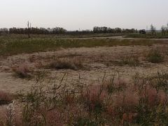 -黄沙古渡原生态旅游区