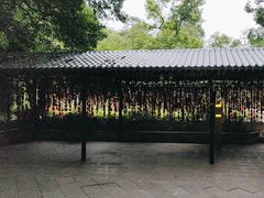 -黔灵山公园