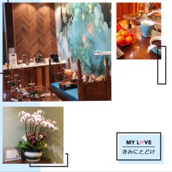 -娇玫荟SPA