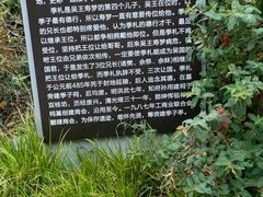 -常州古运河南大街文化旅游区-人民公园
