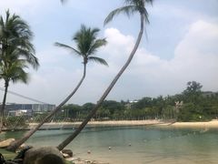 -巴拉湾海滩