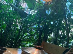 -大头椰·椰子鸡火锅(南宁万象城店)