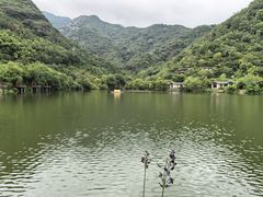-芳草地度假酒店·野炉中餐厅