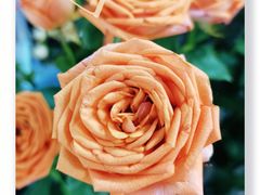 -奥士凯物美(新兴里店)