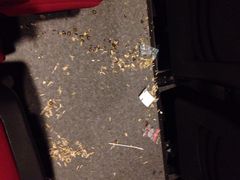 大地数字影院(上海南汇乐购店)-大地影院(上海南汇店)