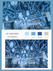 -DC大蔡婚礼策划(李公堤店)