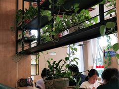 -三猫黑鱼花(南大店)