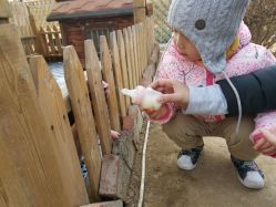 -萌宠亲子动物乐园(槐房万达店)