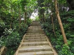 -小南山公园