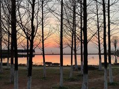 -滆湖低碳生态公园