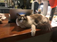 -咖法森林·咖啡  酒吧(天河店)