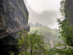 -鹿院坪生态旅游景区