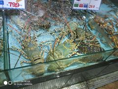 -渔民新村(番禺总店)