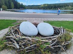 -五营红松林海景区