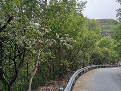 -妙峰山风景名胜区
